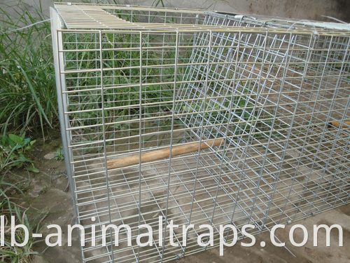 Live Animal Humane Trap Cage Catch and Release Rats topi topi roditori gabbia